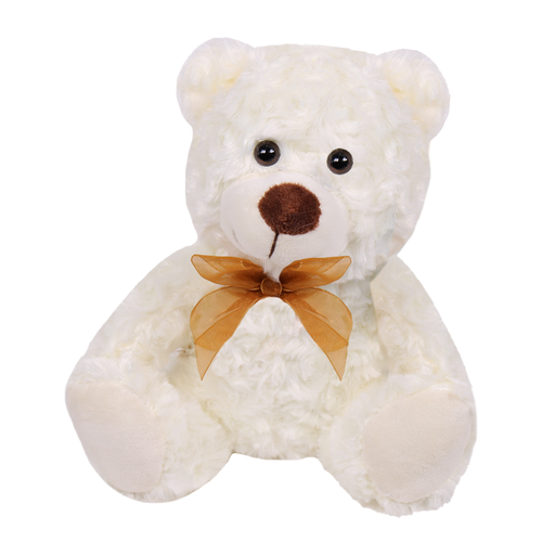 [Y238A/108PZ] 20CM EVER TEDDY SURTIDO